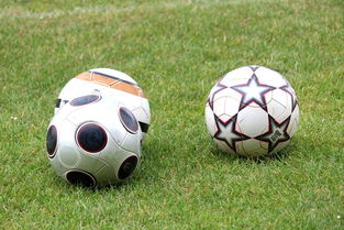 九游娱乐平台-基层足球俱乐部资金短缺，基层足球俱乐部资金短缺的原因